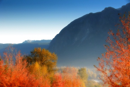 Frosty Valley Morning